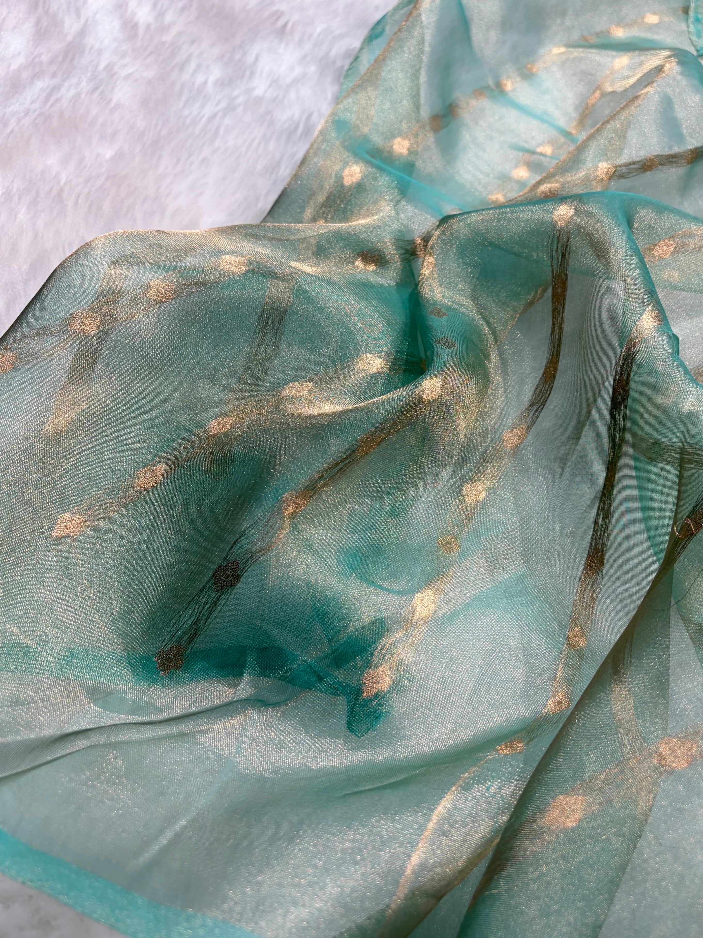 Sea Green Bananasi Floral Shades Pure Tissue Silk Saree PT-39