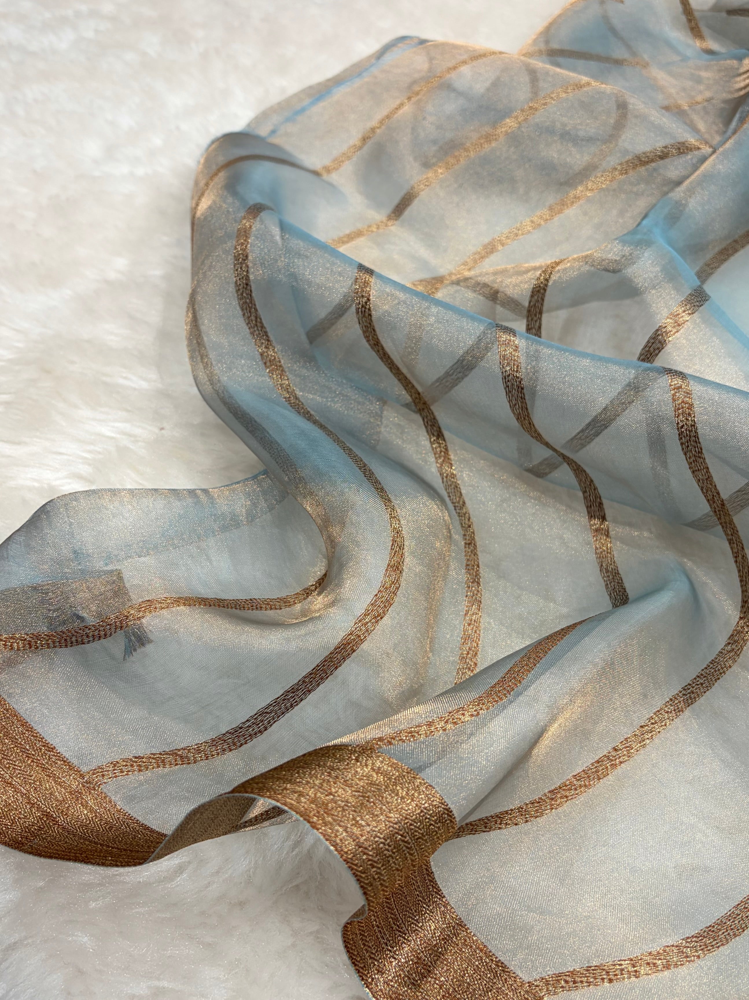 Sky Blue Bananasi Floral Shades Pure Tissue Silk Saree PT-44