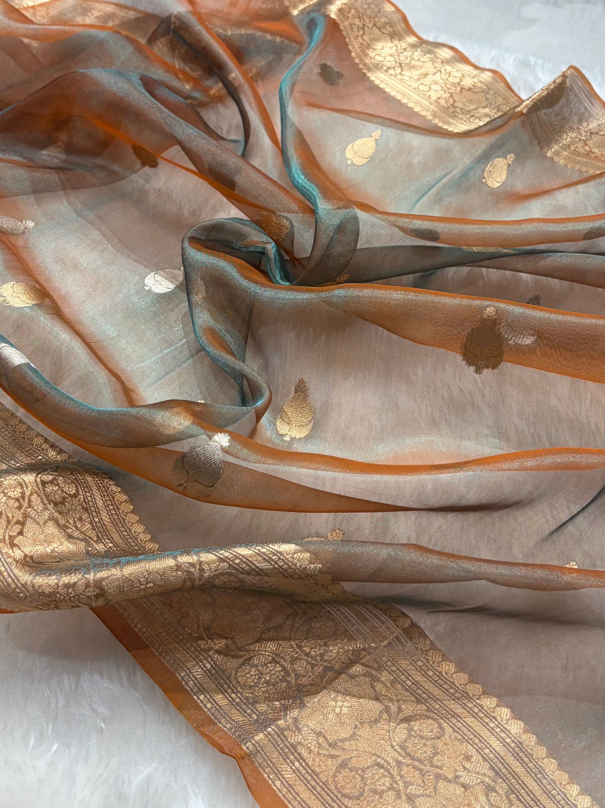 Rust Bananasi Floral Shades Pure Tissue Silk Saree PT-38