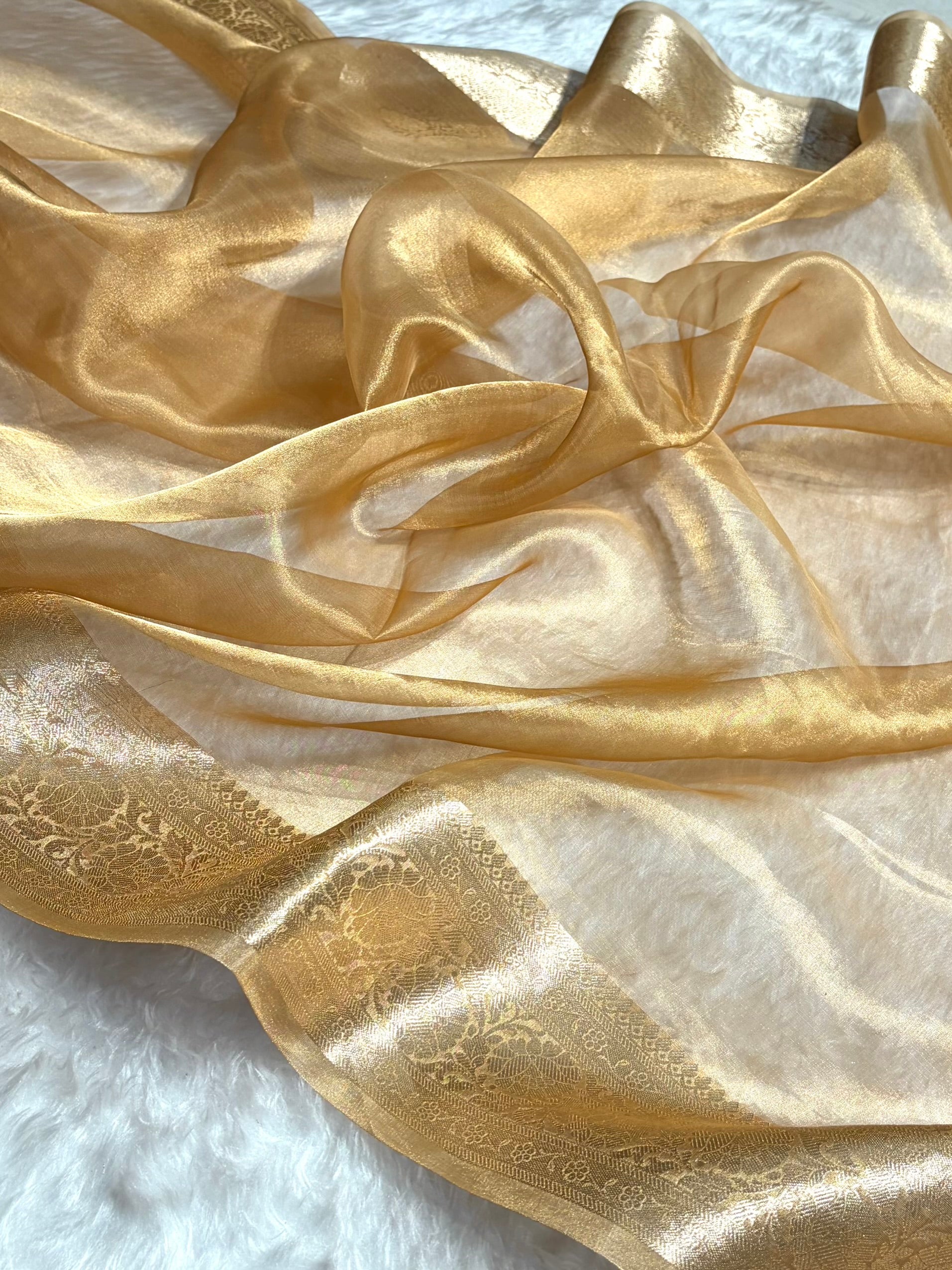 Tusser Shade Pure Tissue Silk Saree with Brocade Blouse PT-18