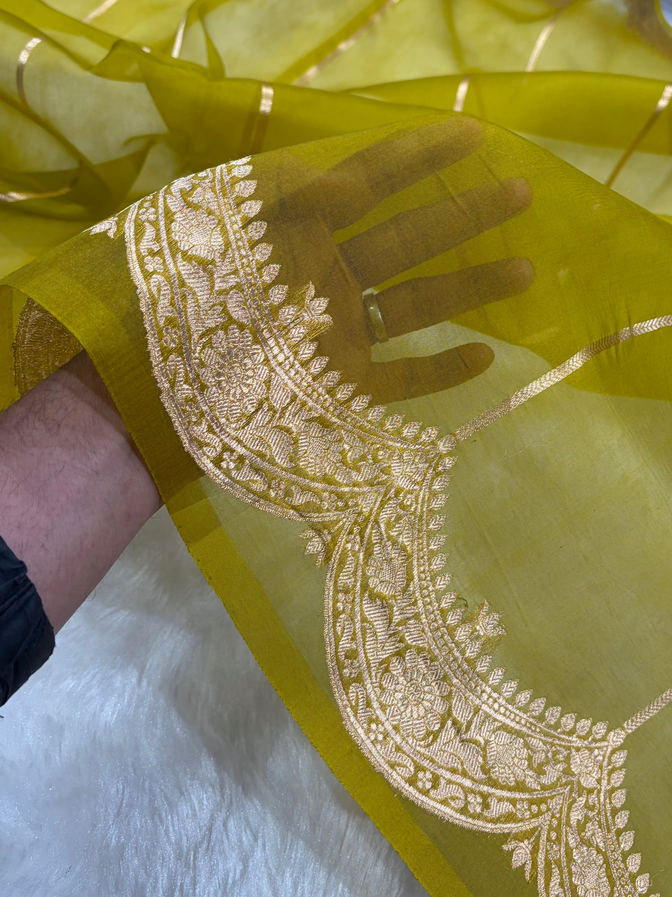 Banarasi Pure Organza Mehendi Green Shades With Scallop Stripe Banarasi Silk Saree PO-32