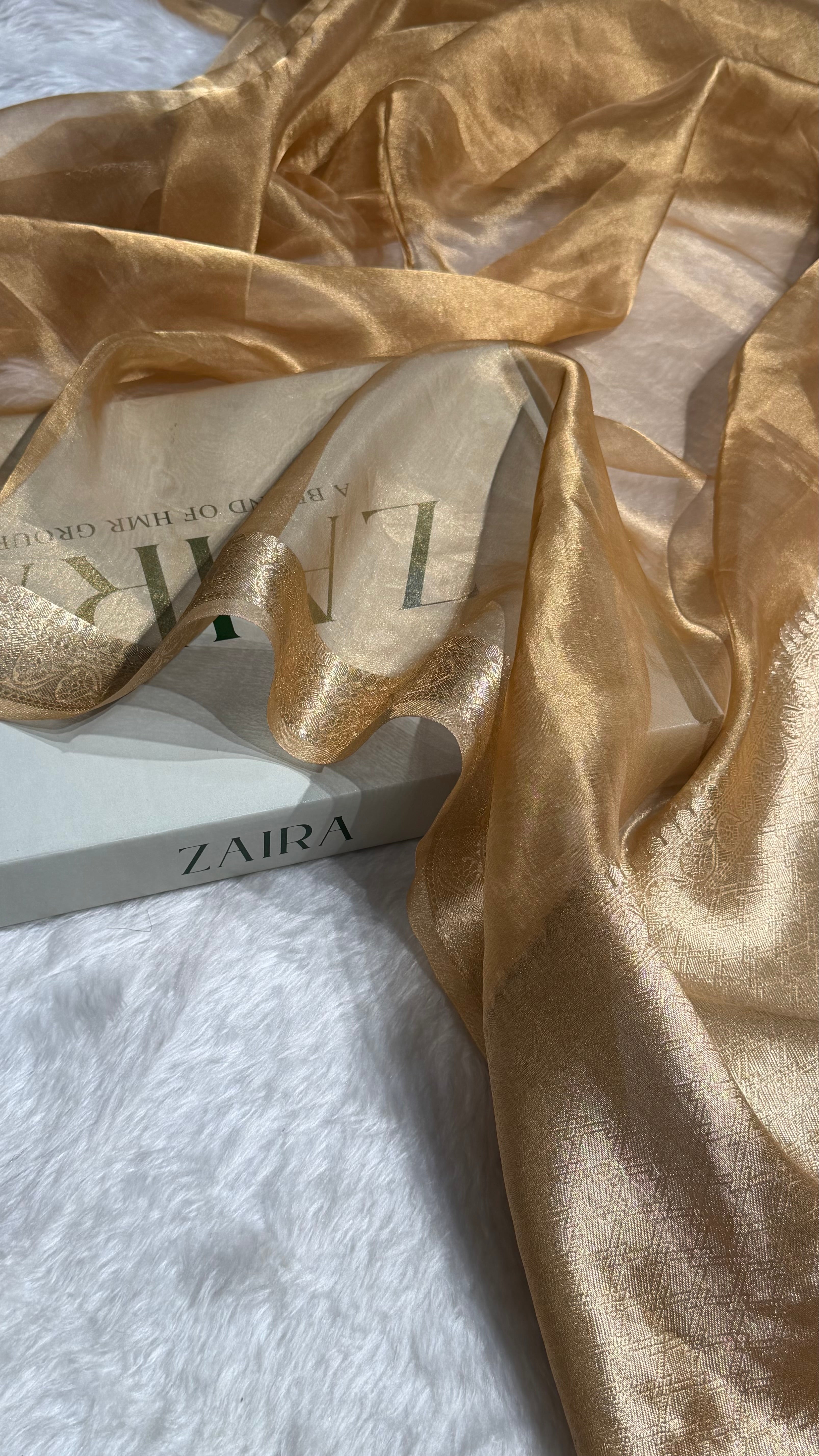 Beige Shades Pure Tissue Silk Saree with Brocade Blouse PT-09