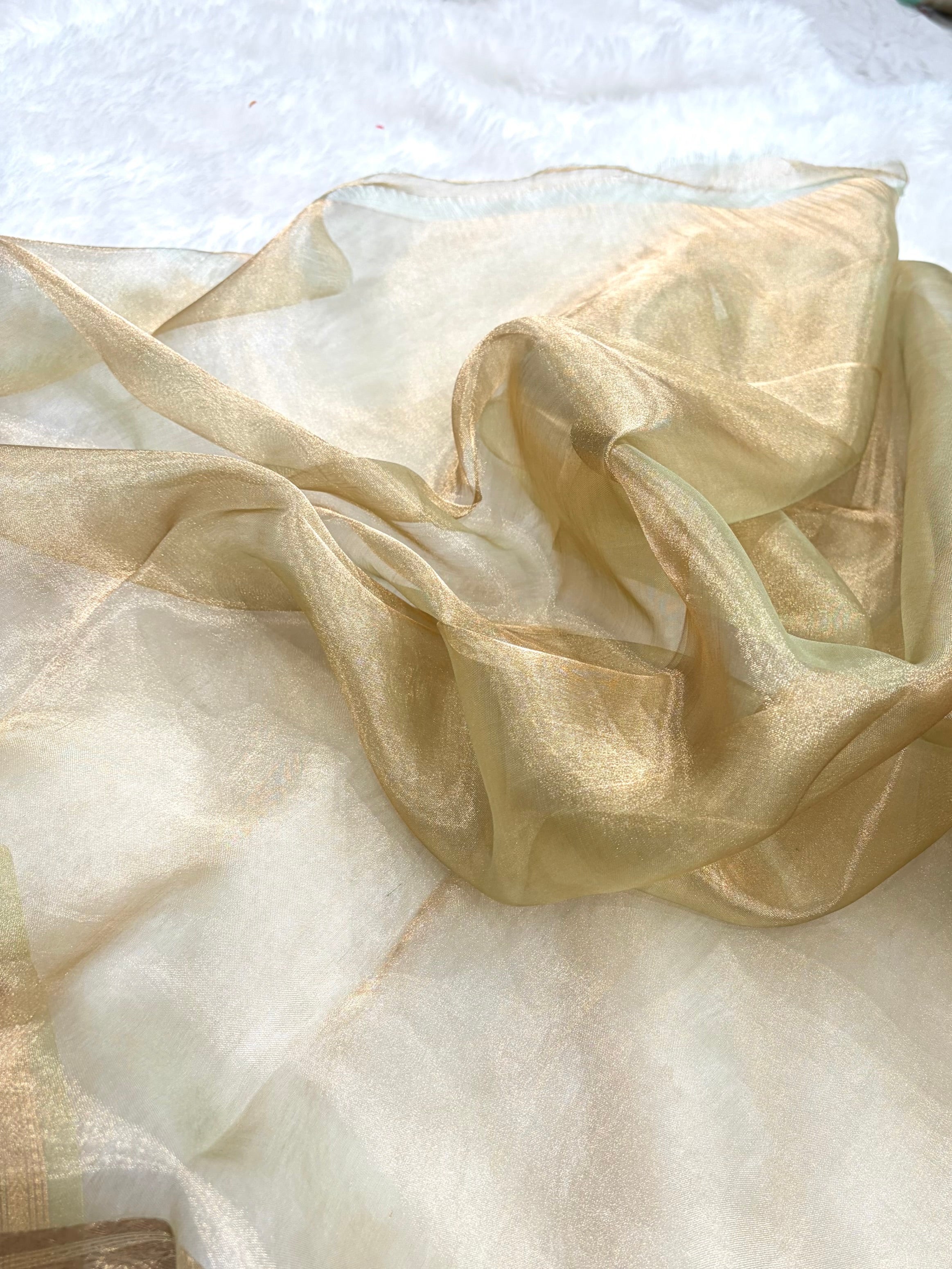 Tusser Bananasi Floral Shades Pure Tissue Silk Saree PT-37