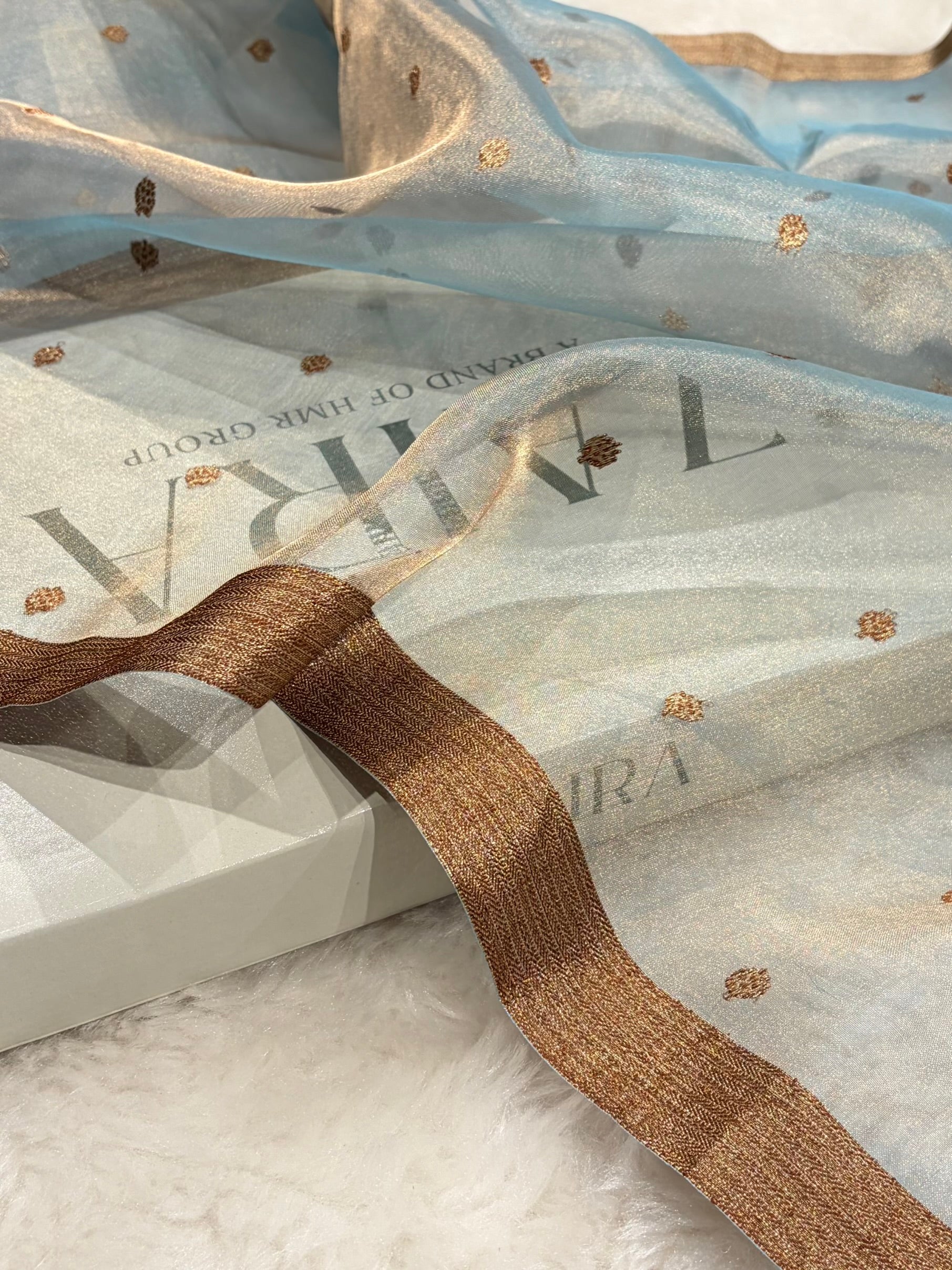 Sky Blue Bananasi Floral Shades Pure Tissue Silk Saree PT-44