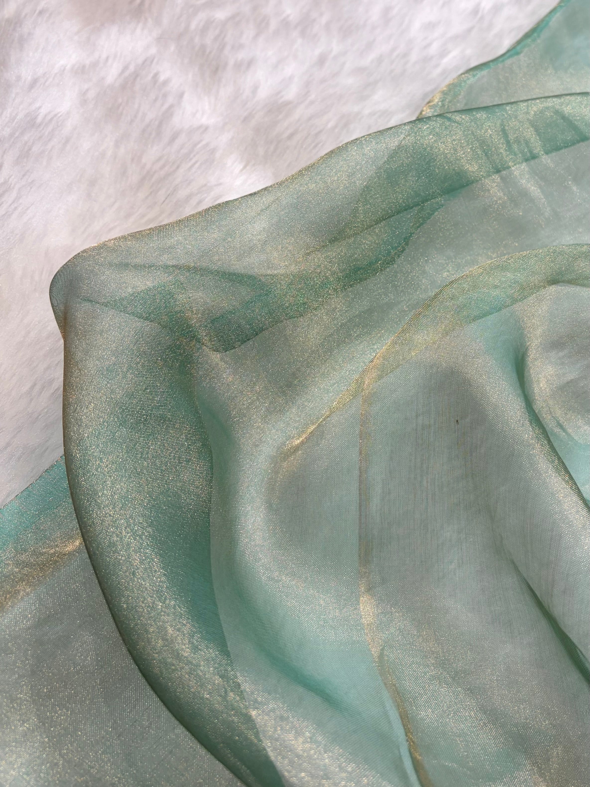 Sea Green Bananasi Floral Shades Pure Tissue Silk Saree PT-45