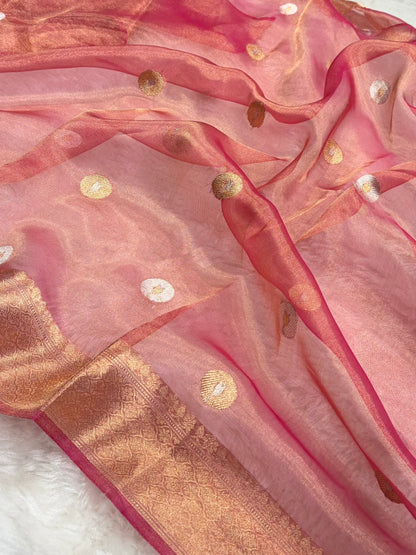 Peach Bananasi Floral Shades Pure Tissue Silk Saree PT-40