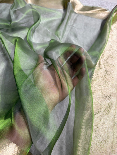 Banarasi Light Green Shades Pure Tissue Silk Saree PT-60