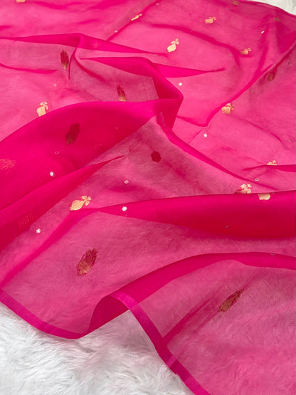 Pure Banarasi Organza Rani Shades With Minakari Floral Banarasi Silk Saree PO-24