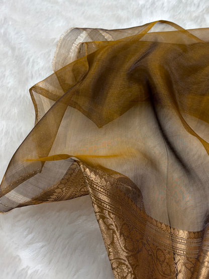 Dark Mustard Bananasi Floral Shades Pure Tissue Silk Saree PT-38