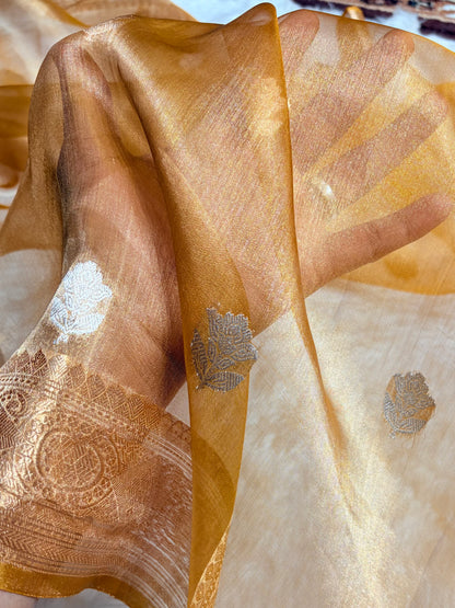 Mustard Gold Bananasi Floral Shades Pure Tissue Silk Saree PT-37