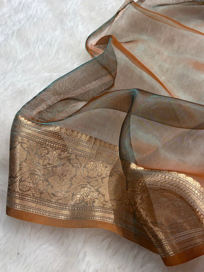 Rust Bananasi Floral Shades Pure Tissue Silk Saree PT-38