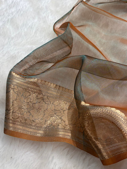Rust Bananasi Floral Shades Pure Tissue Silk Saree PT-38