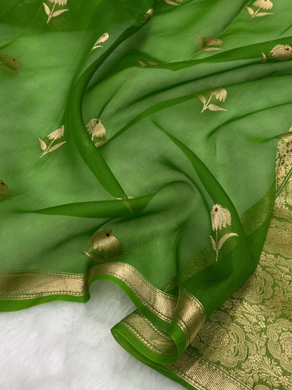 Pure Organza Light Mehendi Floral Meena Banarasi Silk Saree PO-02