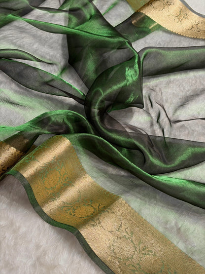 Bottle Green Shade Pure Tissue Silk Saree with Brocade Blouse PT-18