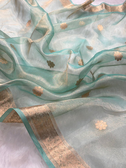 Sea Green Bananasi Floral Shades Pure Tissue Silk Saree PT-45