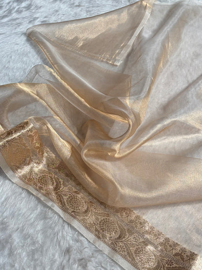 Tusser Floral Shades Pure Tissue Handloom Silk Saree PT-32