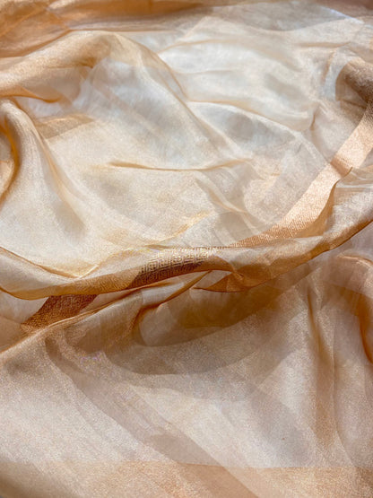 Tusser Bananasi Floral Shades Pure Tissue Silk Saree PT-51