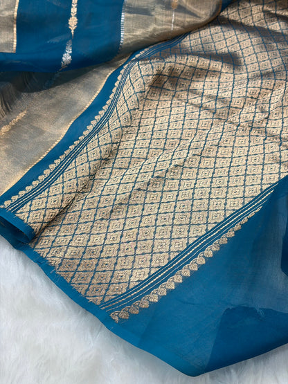 Firozi Rangkat Bananasi Floral Shades Pure Tissue Silk Saree PT-46