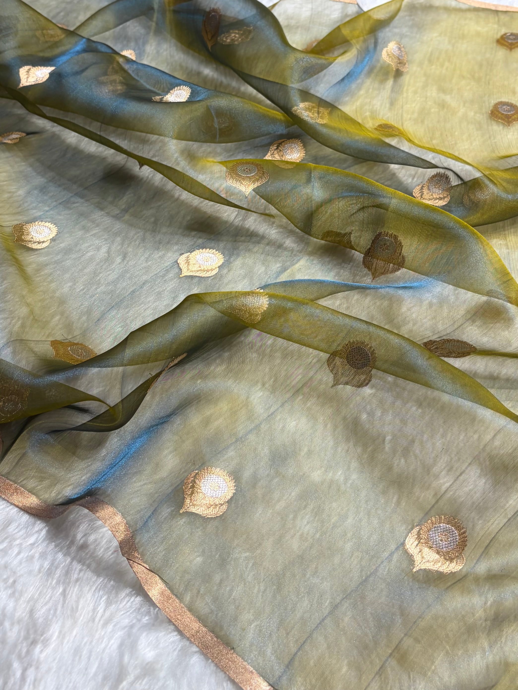 Cross Mehendi Bananasi Floral Shades Pure Tissue Silk Saree PT-36