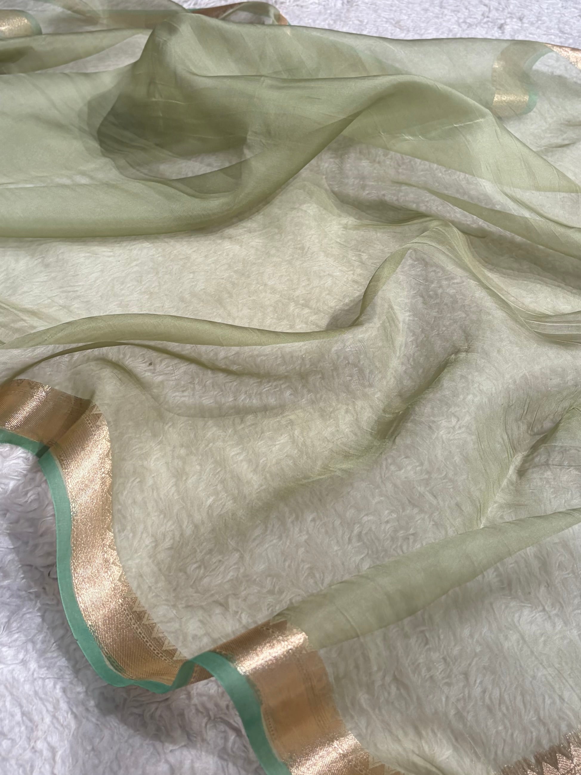 Pure Organza Light Green Banarasi Silk Saree PO-01