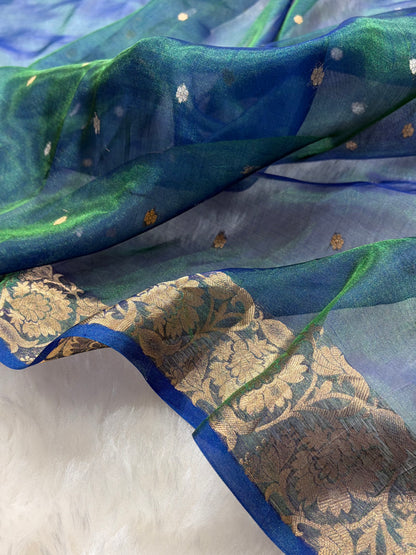 Royal Blue Bananasi Floral Shades Pure Tissue Silk Saree PT-42