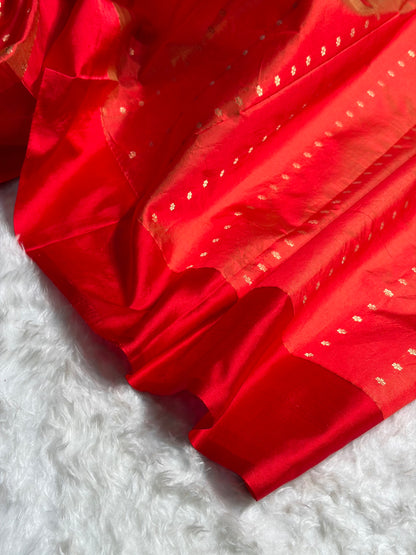 Contrast Banarasi Pure Organza Pista Green With Red Floral Banarasi Silk Saree PO-10