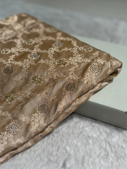 Beige Jaal With Banarasi Swarovski and Zardozi Work Pattern Satin Katan Silk Saree BSK25