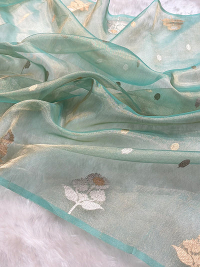 Sea Green Bananasi Floral Shades Pure Tissue Silk Saree PT-39