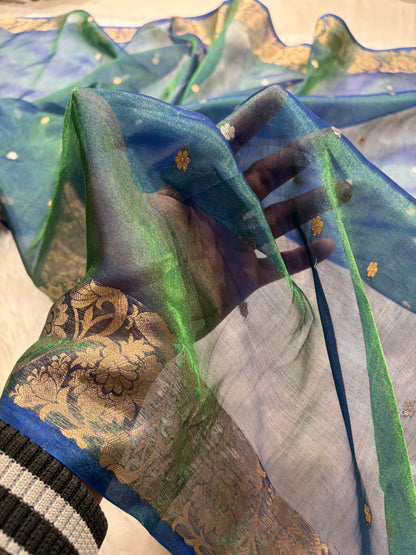 Royal Blue Bananasi Floral Shades Pure Tissue Silk Saree PT-42