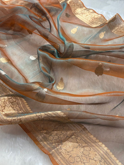 Rust Bananasi Floral Shades Pure Tissue Silk Saree PT-38
