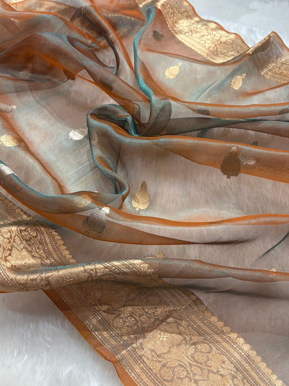Rust Bananasi Floral Shades Pure Tissue Silk Saree PT-38