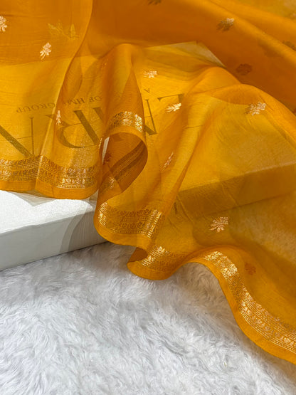 Banarasi Pure Organza Rustic Orange Shades Banarasi Silk Saree PO-34