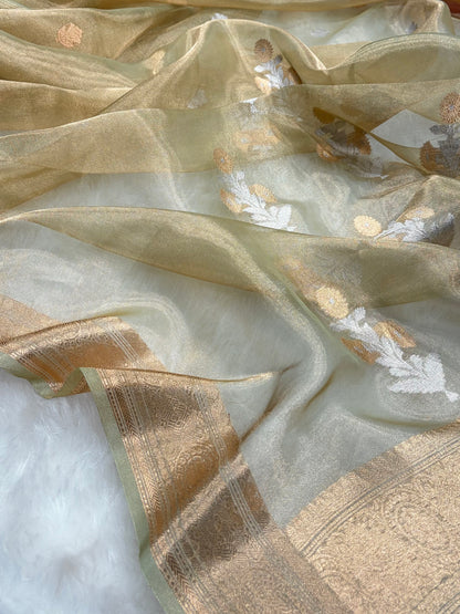 Tusser Bananasi Floral Shades Pure Tissue Silk Saree PT-37