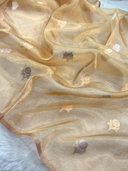 Beige Shades Bananasi Floral Shades Pure Tissue Silk Saree PT-57