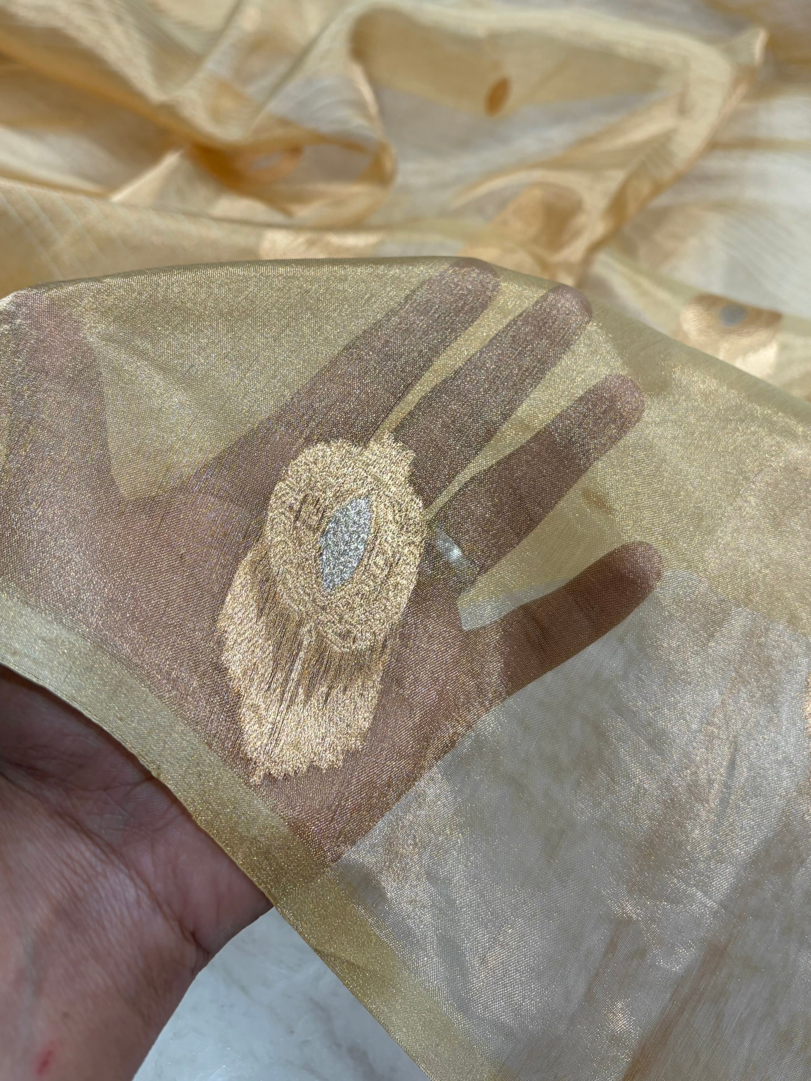 Tusser Bananasi Floral Shades Pure Tissue Silk Saree PT-54