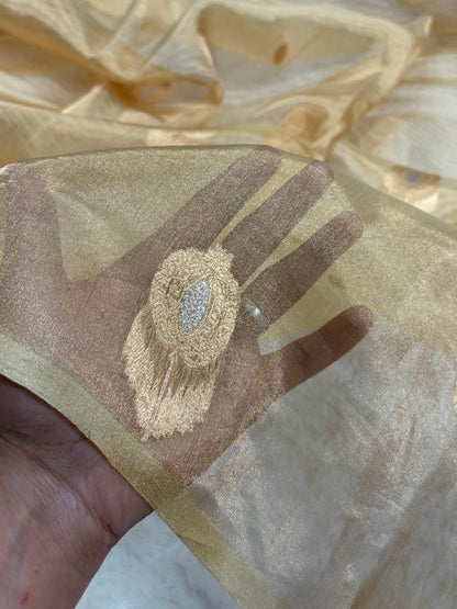 Tusser Bananasi Floral Shades Pure Tissue Silk Saree PT-54