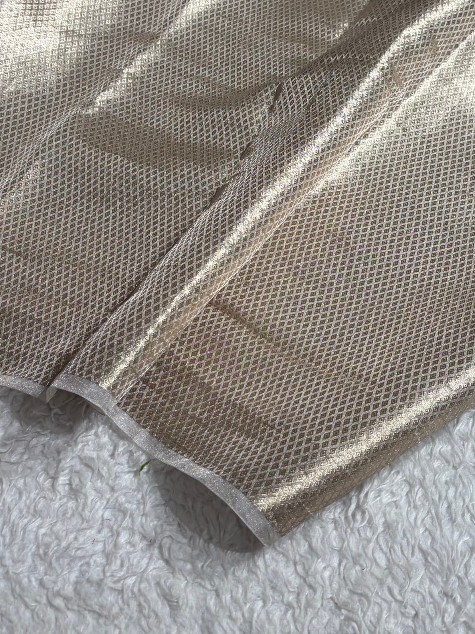 Pearl White Shades With Floral Embroidered Pure Tissue Silk Saree with Brocade Blouse PTE-18