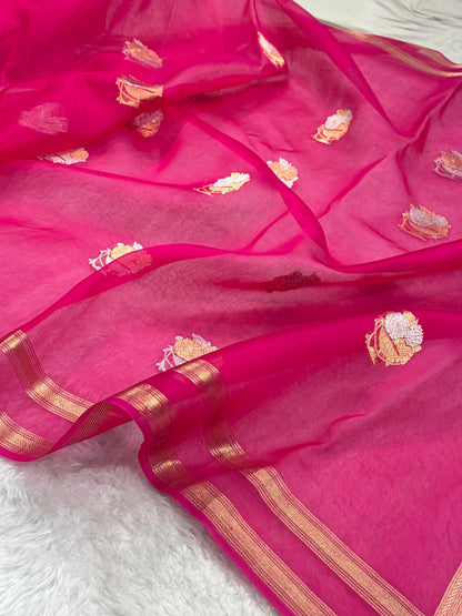 Pure Banarasi Organza Rani Shades Floral Banarasi Silk Saree PO-20