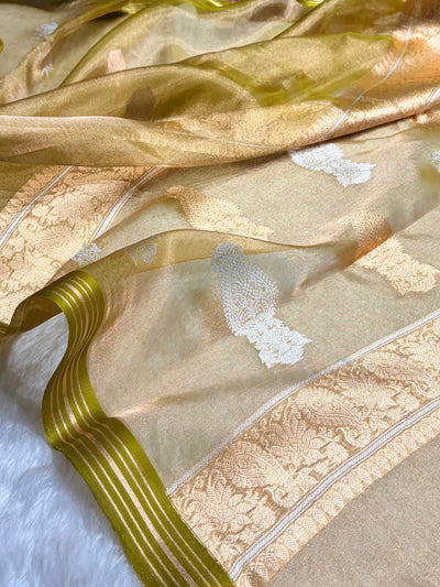 Gold Bananasi Floral Shades Pure Tissue Silk Saree PT-35