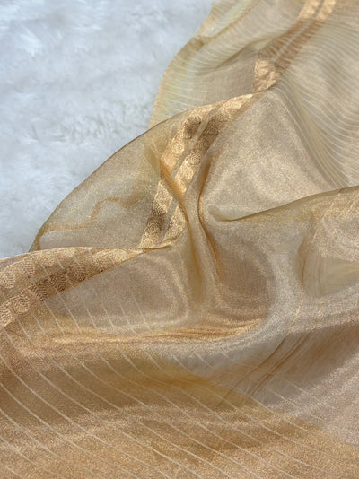 Tusser Bananasi Floral Shades Pure Tissue Silk Saree PT-54