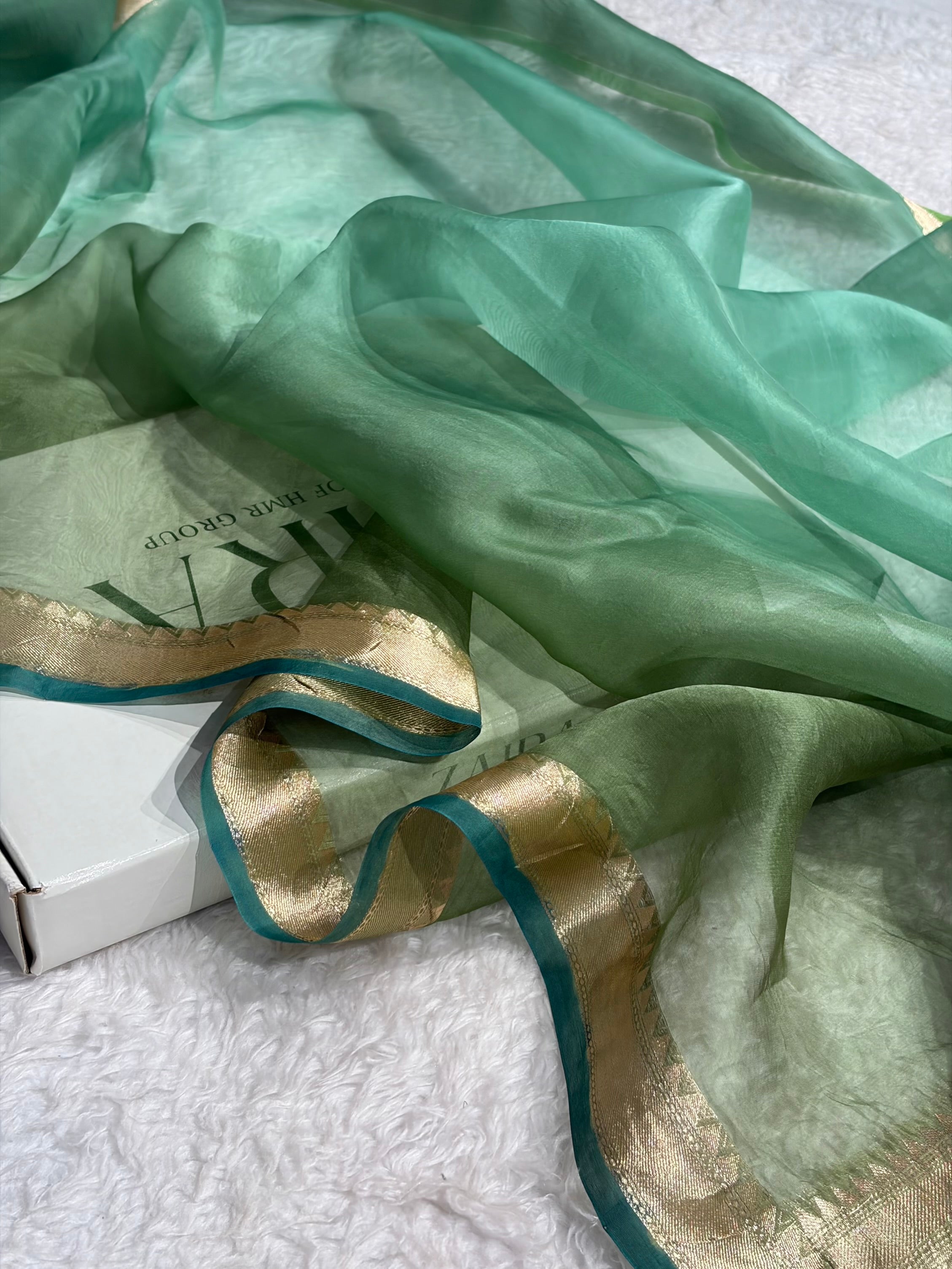Ombre Pure Organza Sea Green Banarasi Silk Saree PO-01