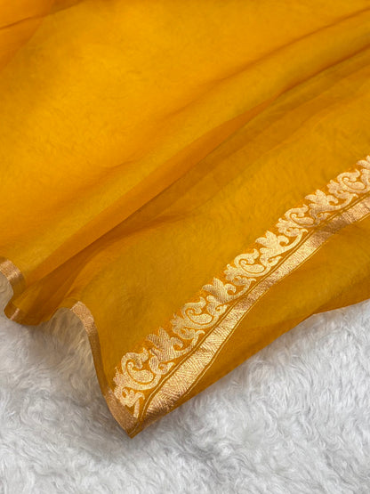 Pure Banarasi Organza Orange Shades With Minakari Floral Banarasi Silk Saree PO-30