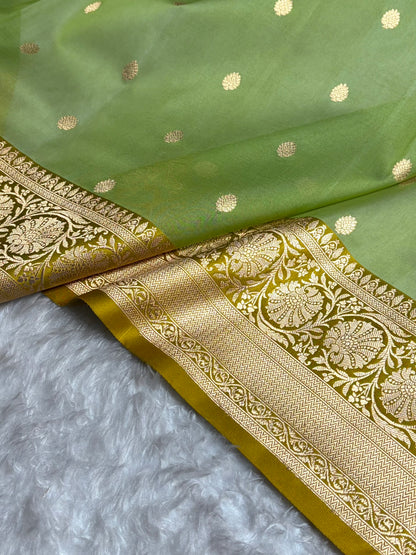 Contrast Pure Banarasi Organza Pista With Mustard Blue Floral Banarasi Silk Saree PO-19
