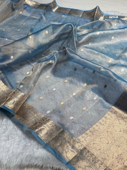 Pastel Blue Bananasi Floral Shades Pure Tissue Silk Saree PT-34