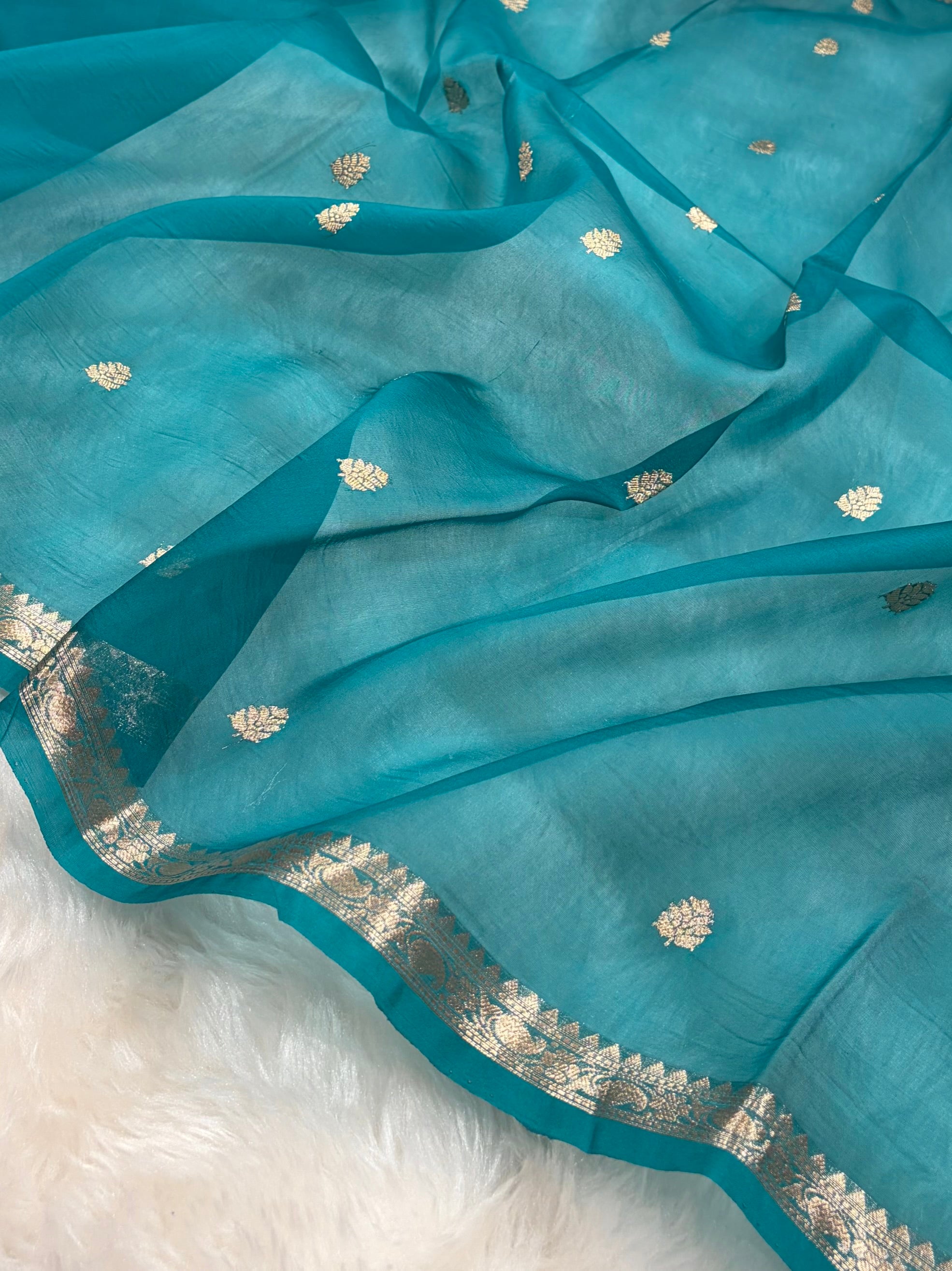 Banarasi Pure Organza Rama Shades Banarasi Silk Saree PO-35