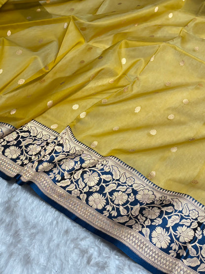 Contrast Pure Banarasi Organza Beige With German Blue Floral Banarasi Silk Saree PO-18