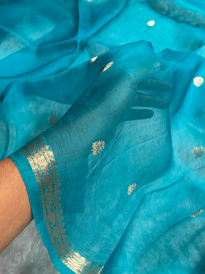 Banarasi Pure Organza Firozi Shades Banarasi Silk Saree PO-35