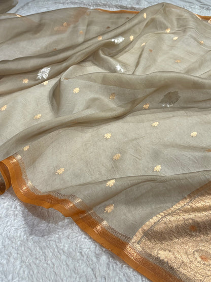 Banarasi Pure Organza Dusty Grey Shades Contrast Edges Banarasi Silk Saree PO-34