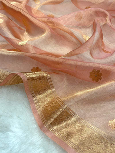 Peach Bananasi Floral Shades Pure Tissue Silk Saree PT-45