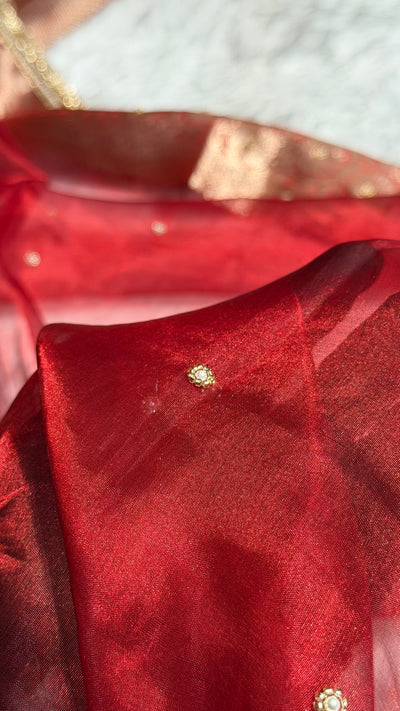 Red Shade Pure Tissue Silk Saree Moti with Gota Patti BPTGP-17